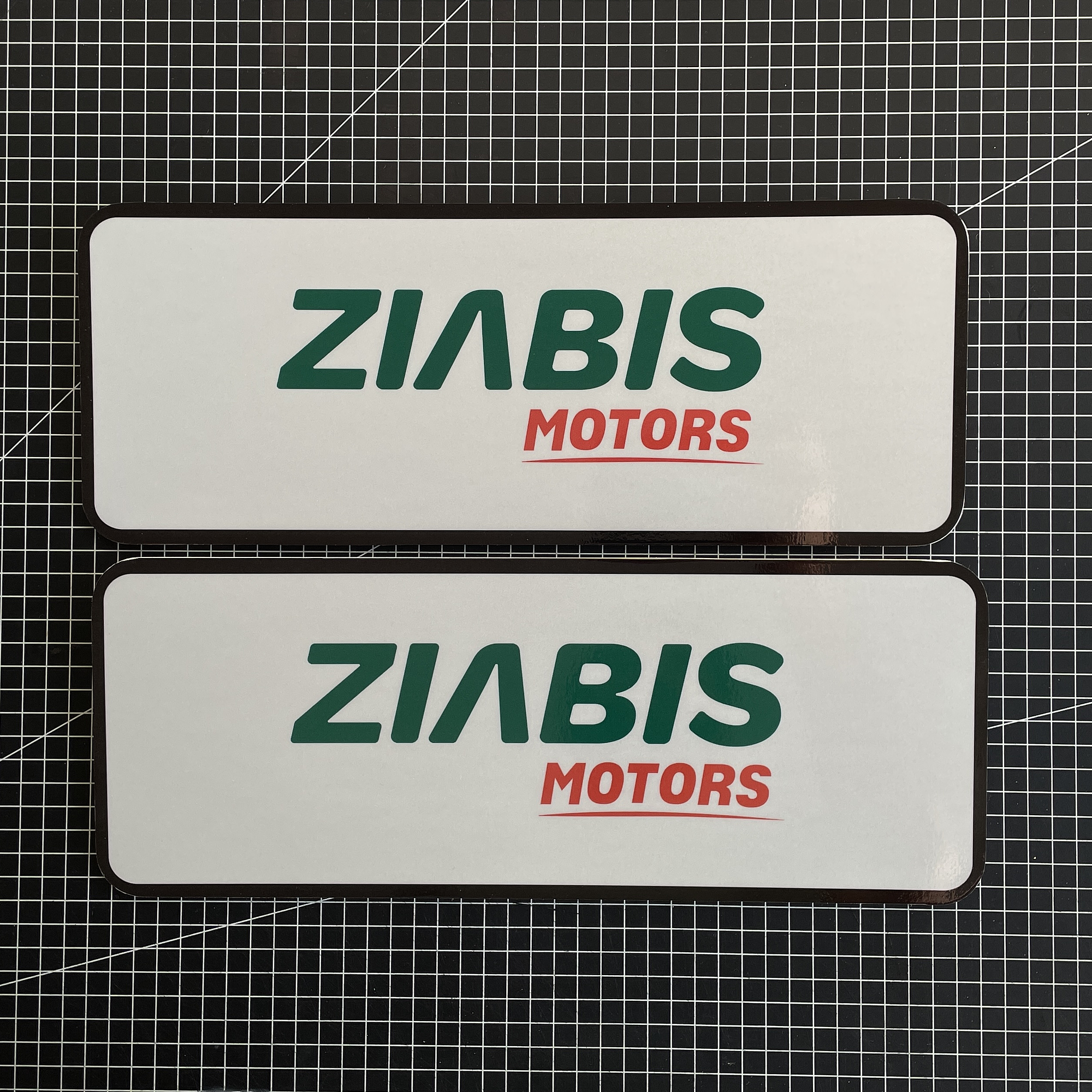 Cubre Patente en vinilo Reflectante para Autos kit 4 unid 4