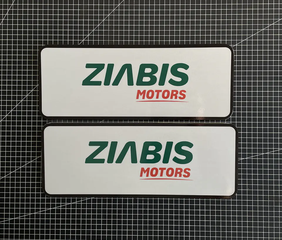 Cubre Patente en vinilo Reflectante para Autos kit 4 unid 4