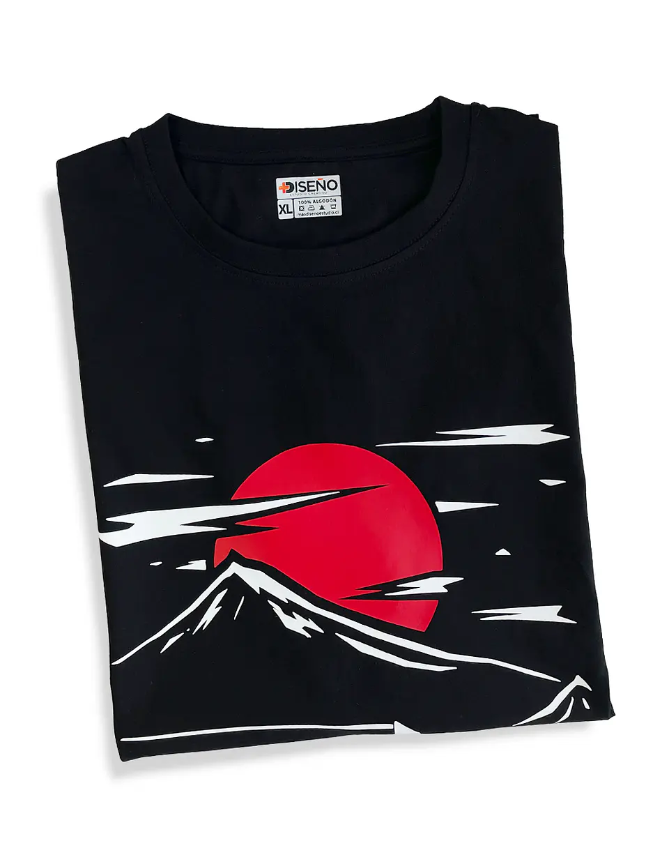 Polera Nissan Skyline GTR 34 5