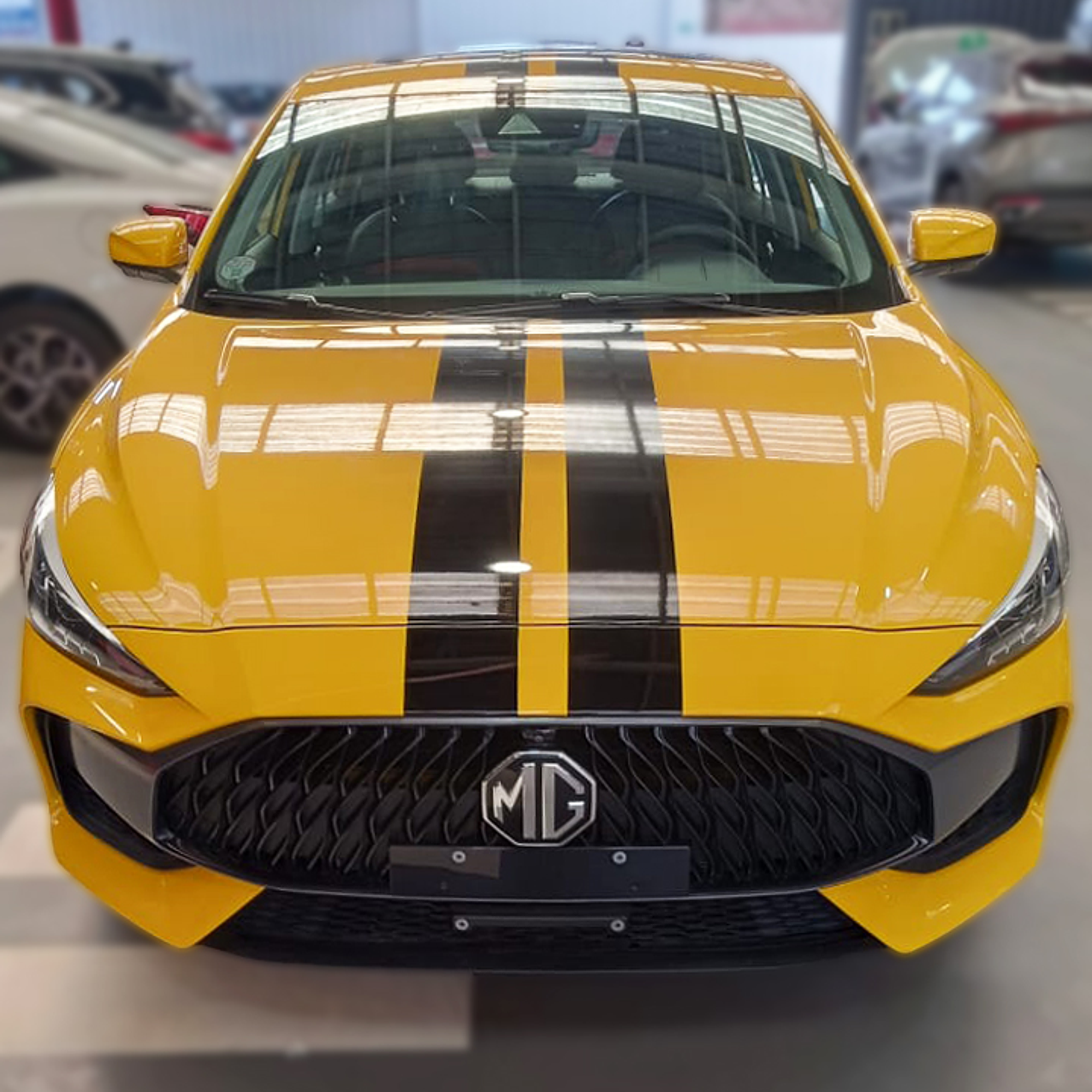 lineas Deportivas para Autos en Vinilo Automotriz 22