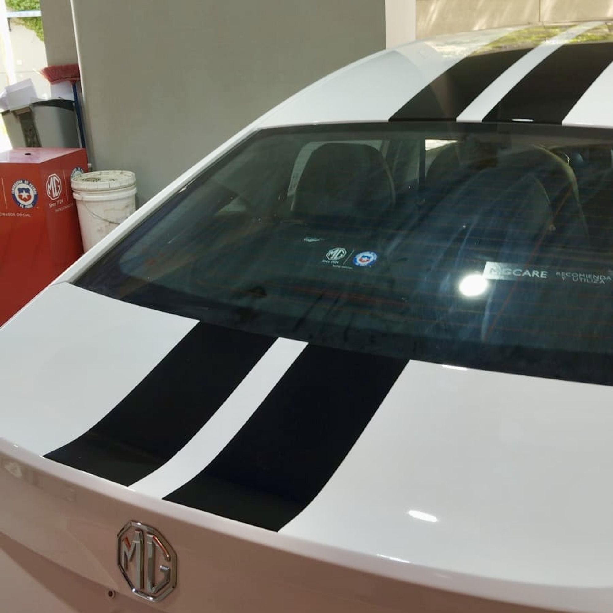 lineas Deportivas para Autos en Vinilo Automotriz 13