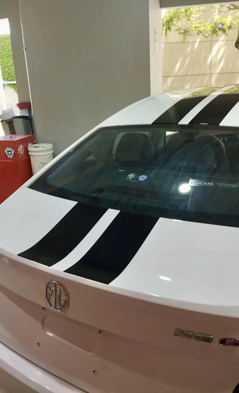 lineas Deportivas para Autos en Vinilo Automotriz 13