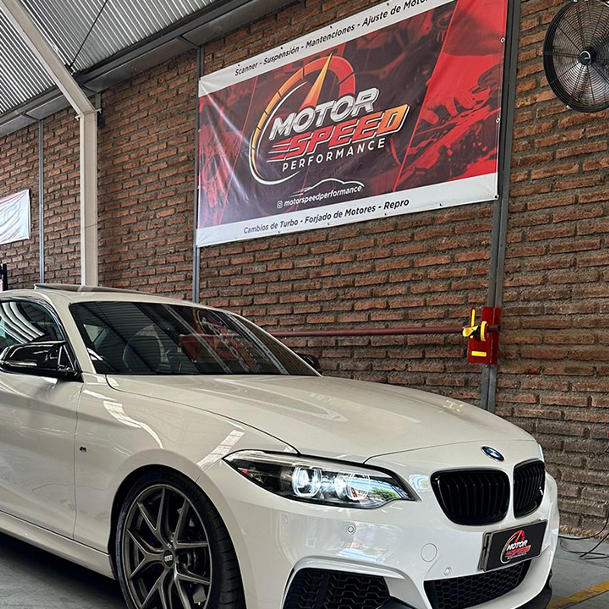 Tela PVC de Alta Calidad 5