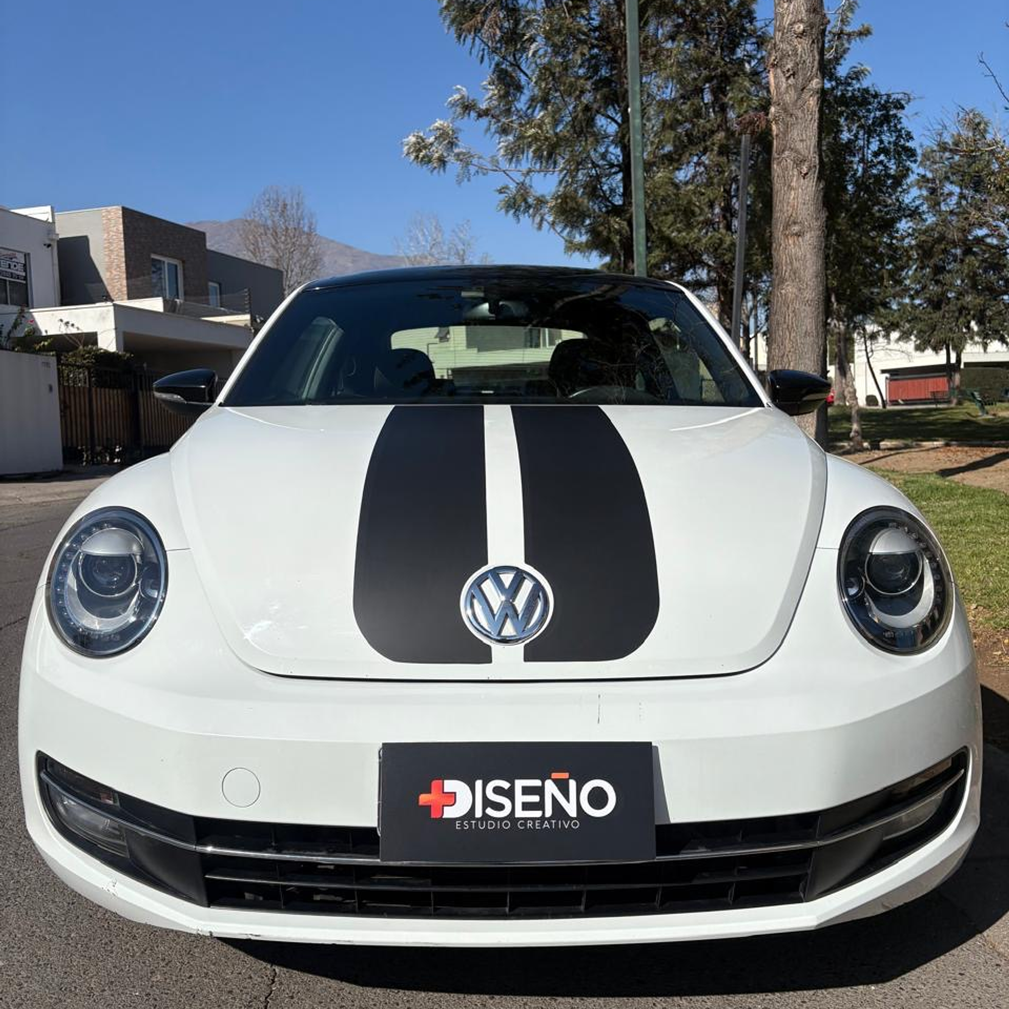 Cubre Patente rectangular personalizado kit de 10 unidades 5