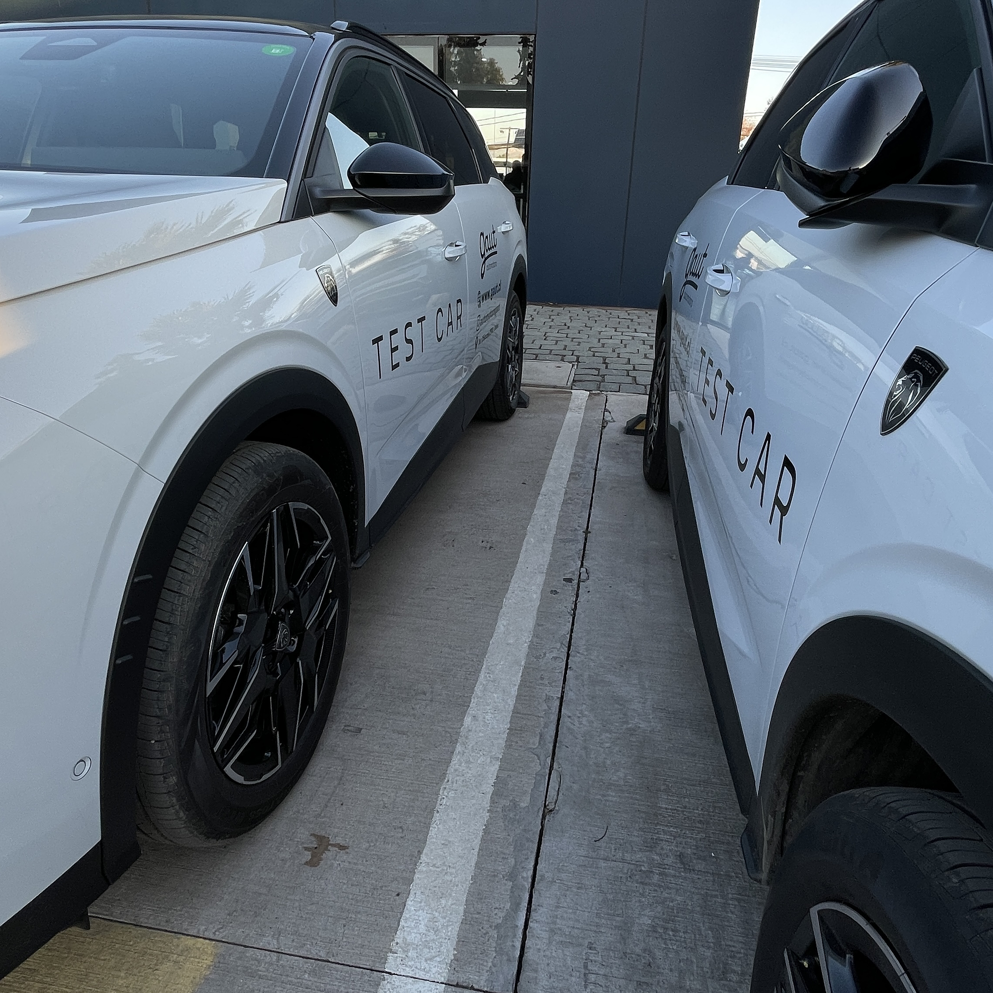 Branding Vehicular  Logo Corporativo 8