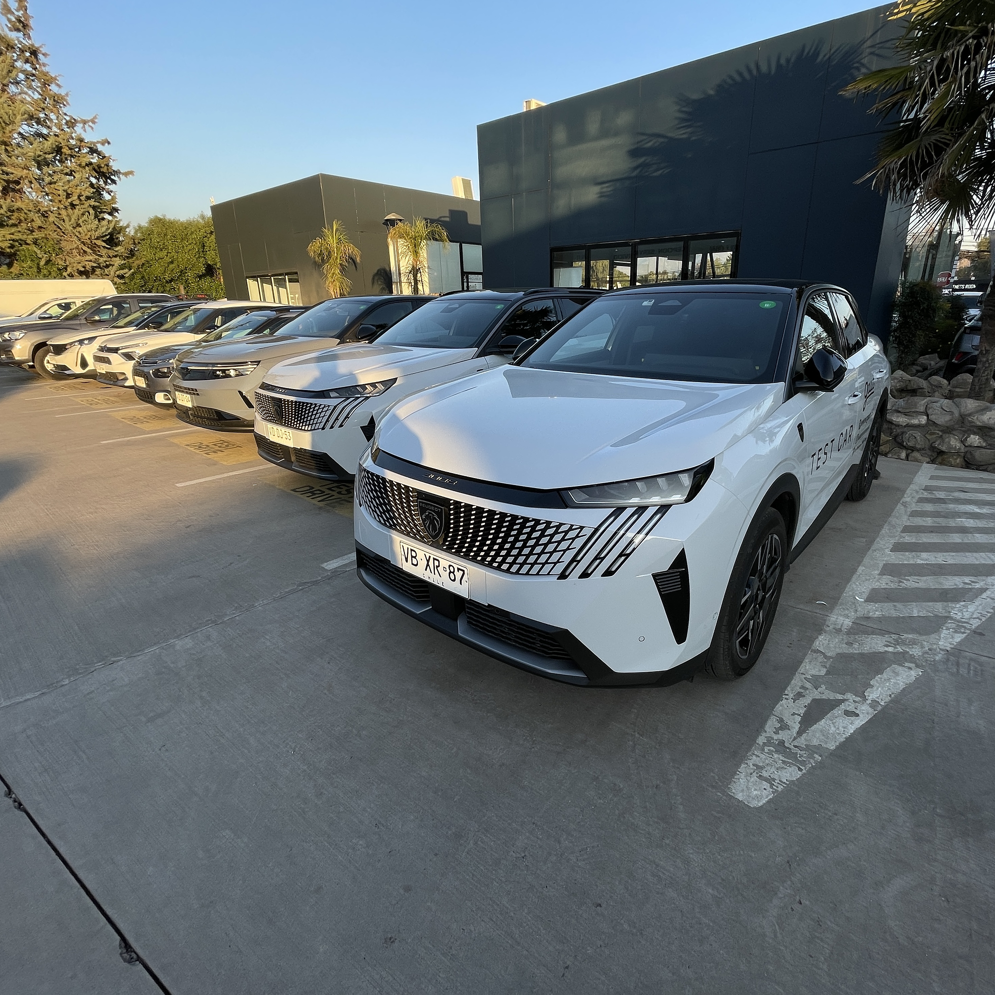 Branding Vehicular  Logo Corporativo 10