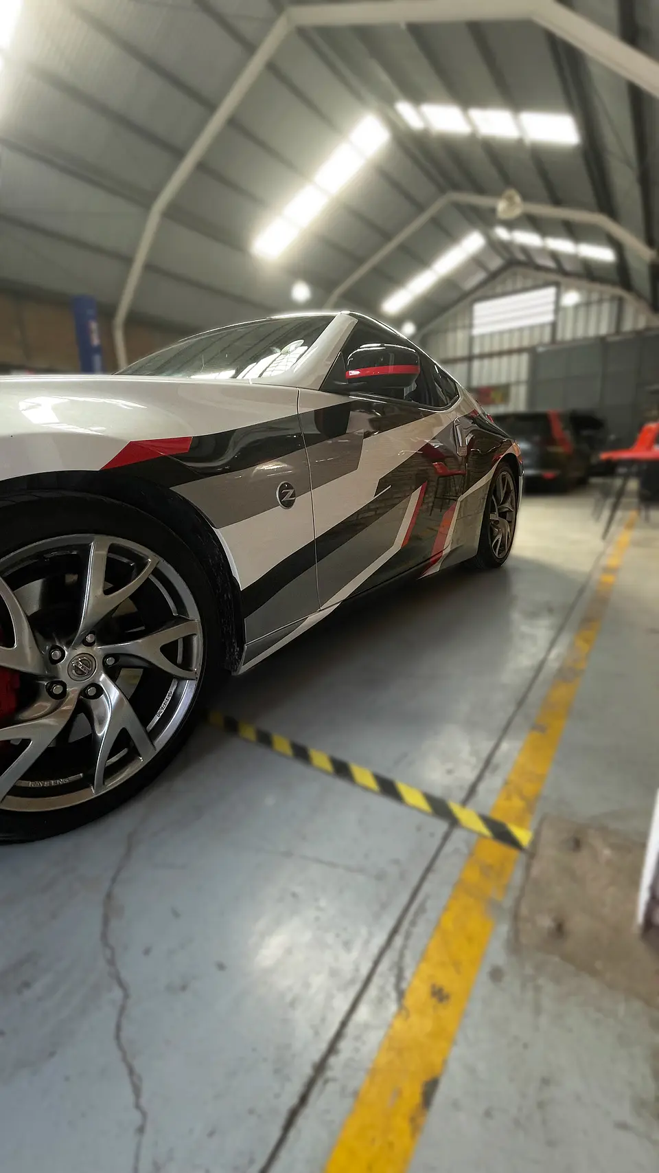 Gráficos Personalizados de Autos  10