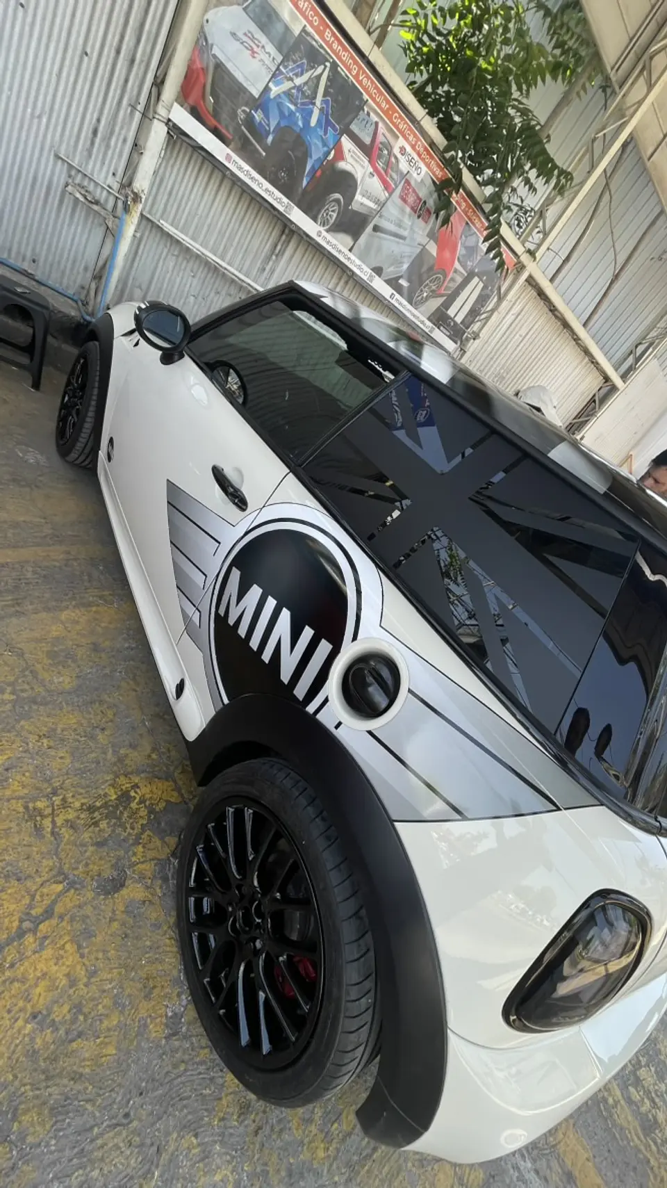 Gráficos Personalizados de Autos  7