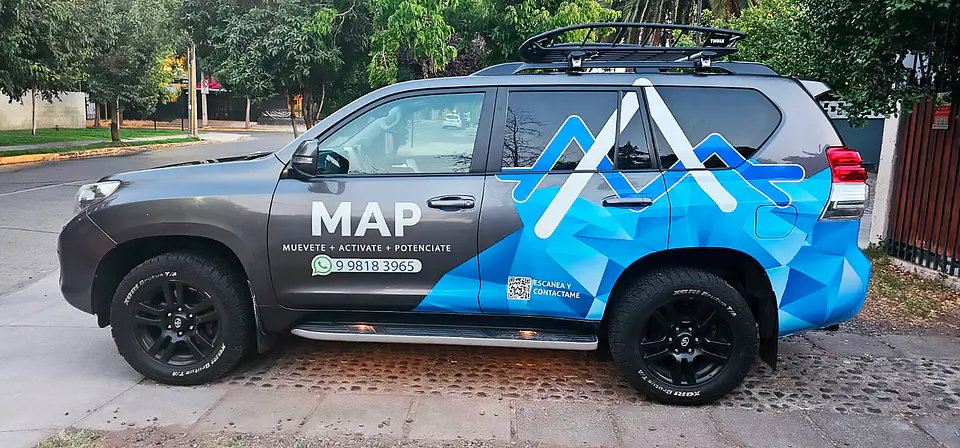 Gráficos Personalizados de Autos  26