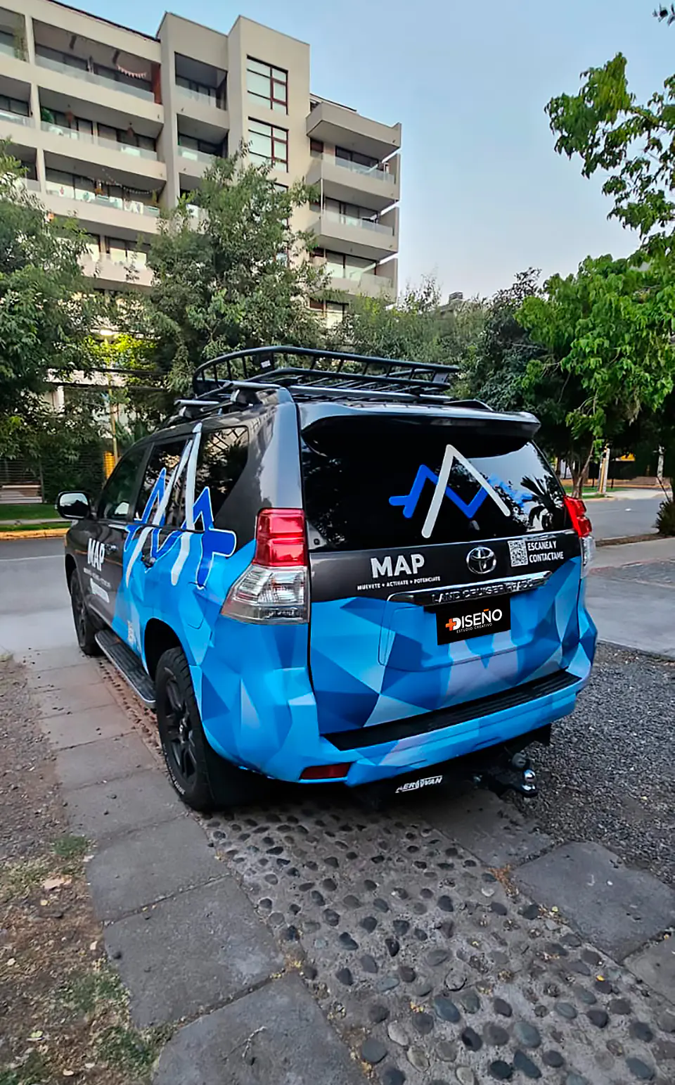 Gráficos Personalizados de Autos  29