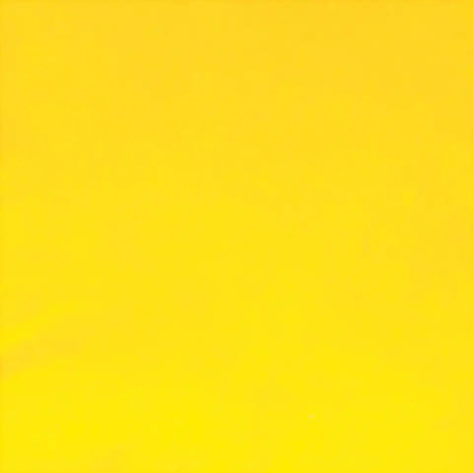 Cojin Felpa 30X60 Amarillo 2