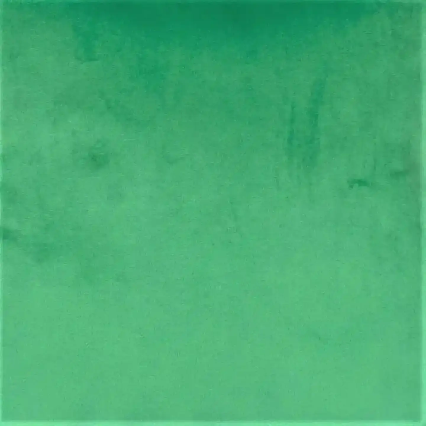 Cojín Felpa Verde Cata 40x40cm. 2