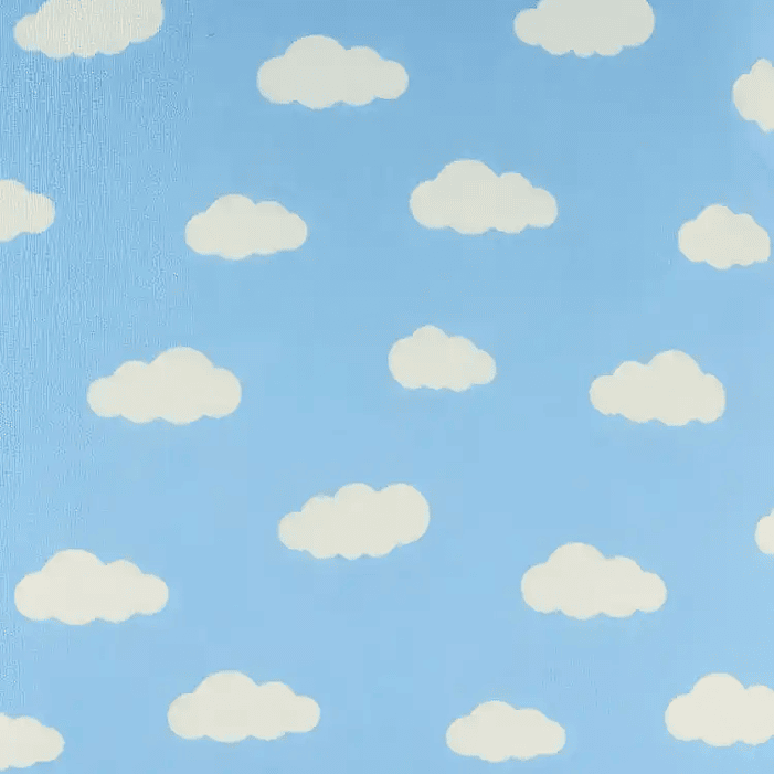 Set 4 cojines lona nube 50 x 50 AZUL 3