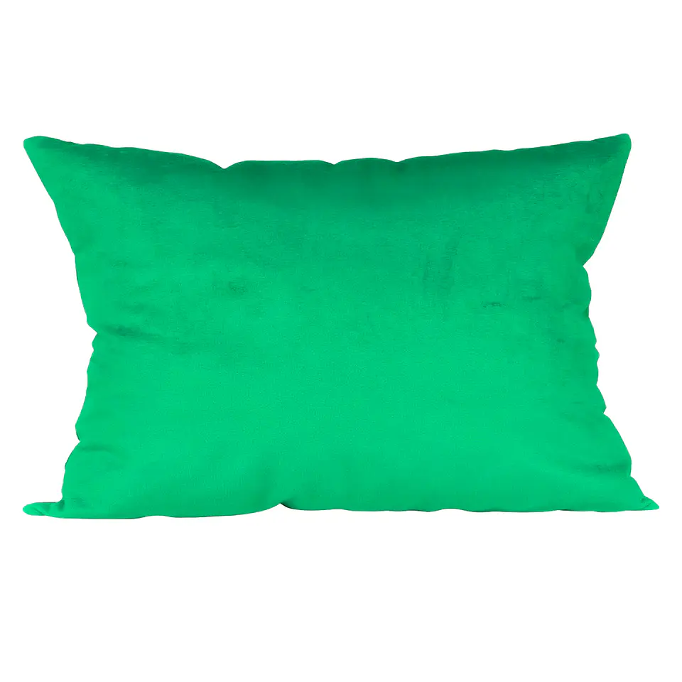 Cojin Felpa 30X60 Verde Cata  1