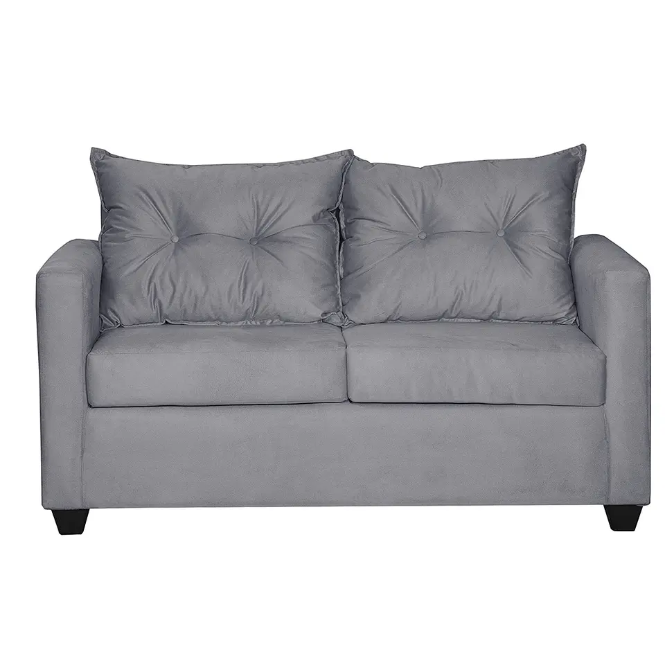 Sofá 2c Hamburgo Felpa Gris - 130x70x83 3
