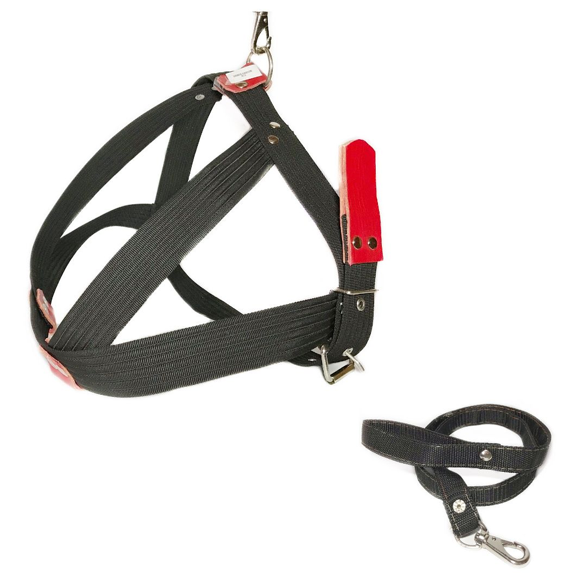 Arnes Pastor con Trailla 2