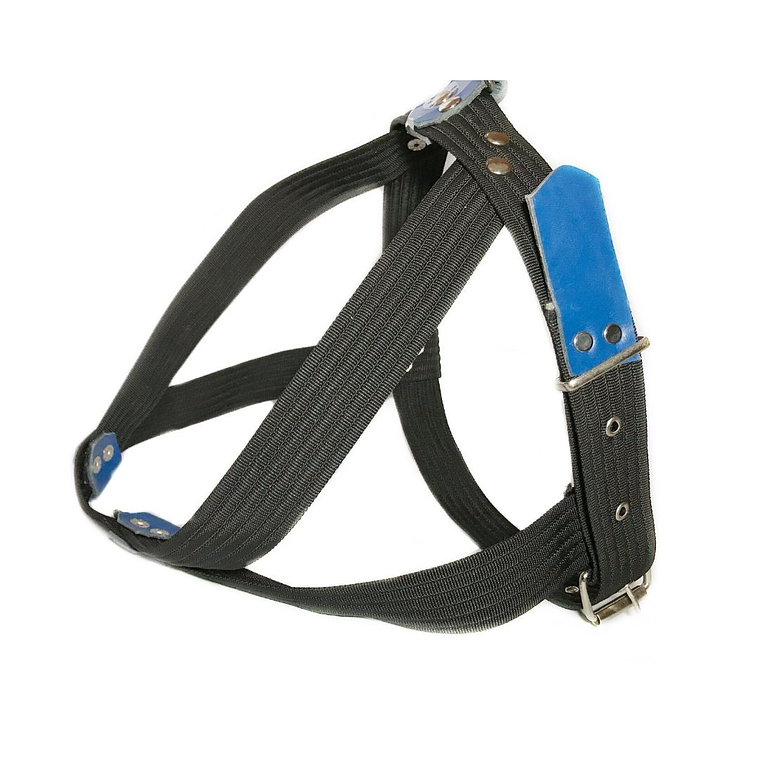 Arnes Pastor con Trailla 3