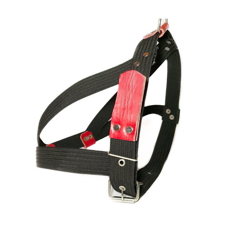 Arnes Pastor con Trailla 4