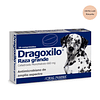 DRAGOXILO® RAZA GRANDE - Comprimido Oral 1