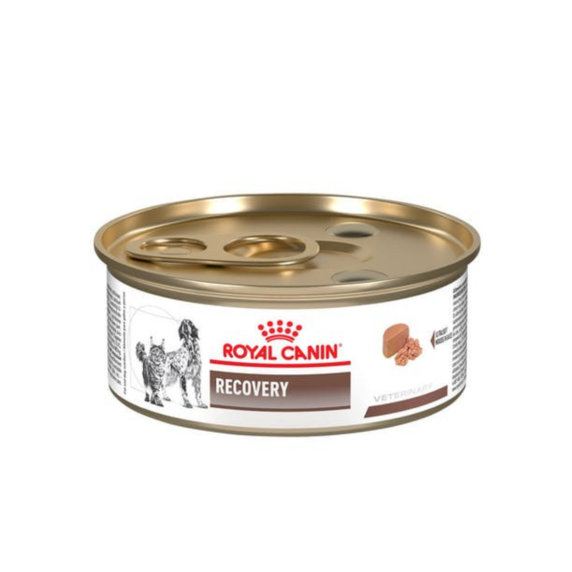 Royal canin Recovery 145 gr  1