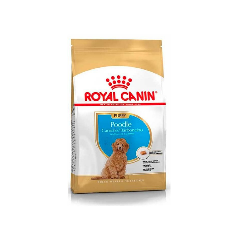 Royal Canin puppy Poodle 3kg  1