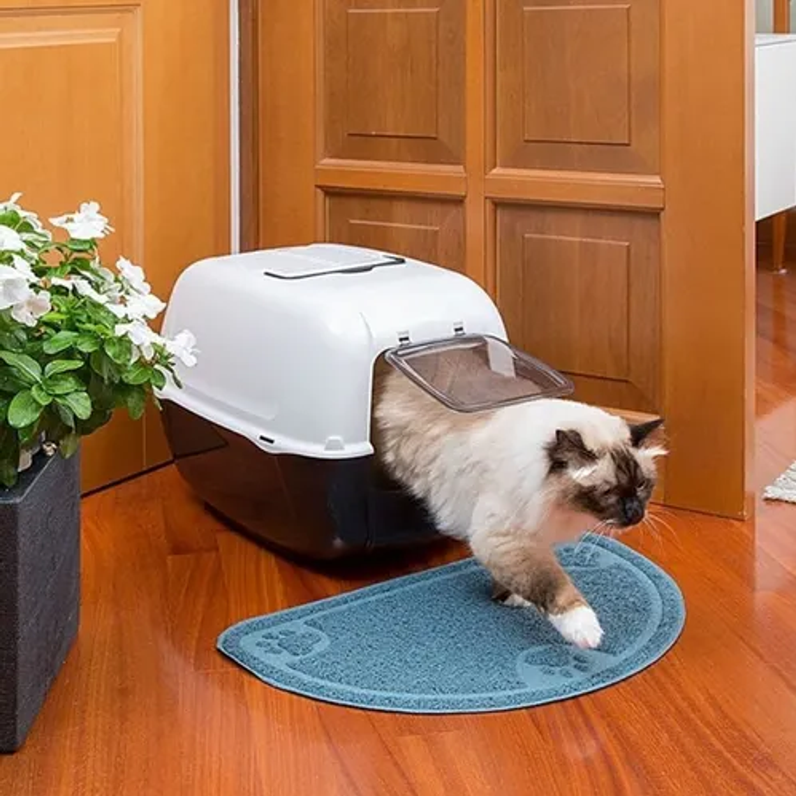 BAÑO SANITARIO HOME PRIMA CON PUERTA  3