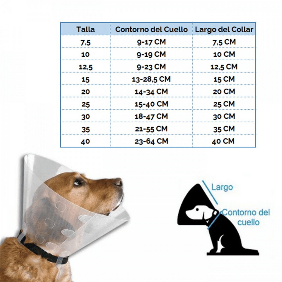 Collar Isabelino o posoperatorio 1