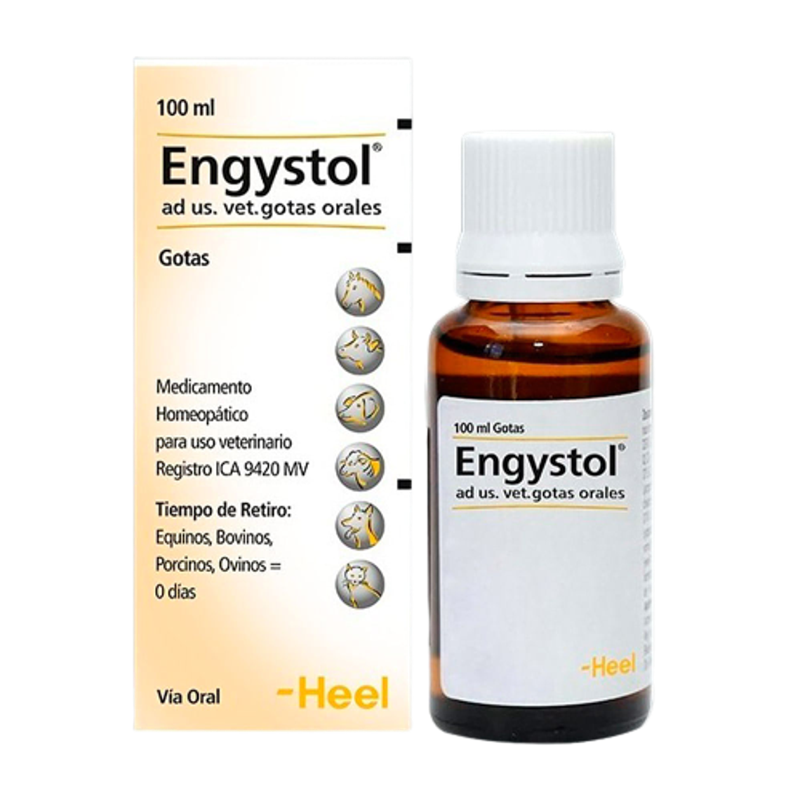 Engystol  100 ml en gotas 1
