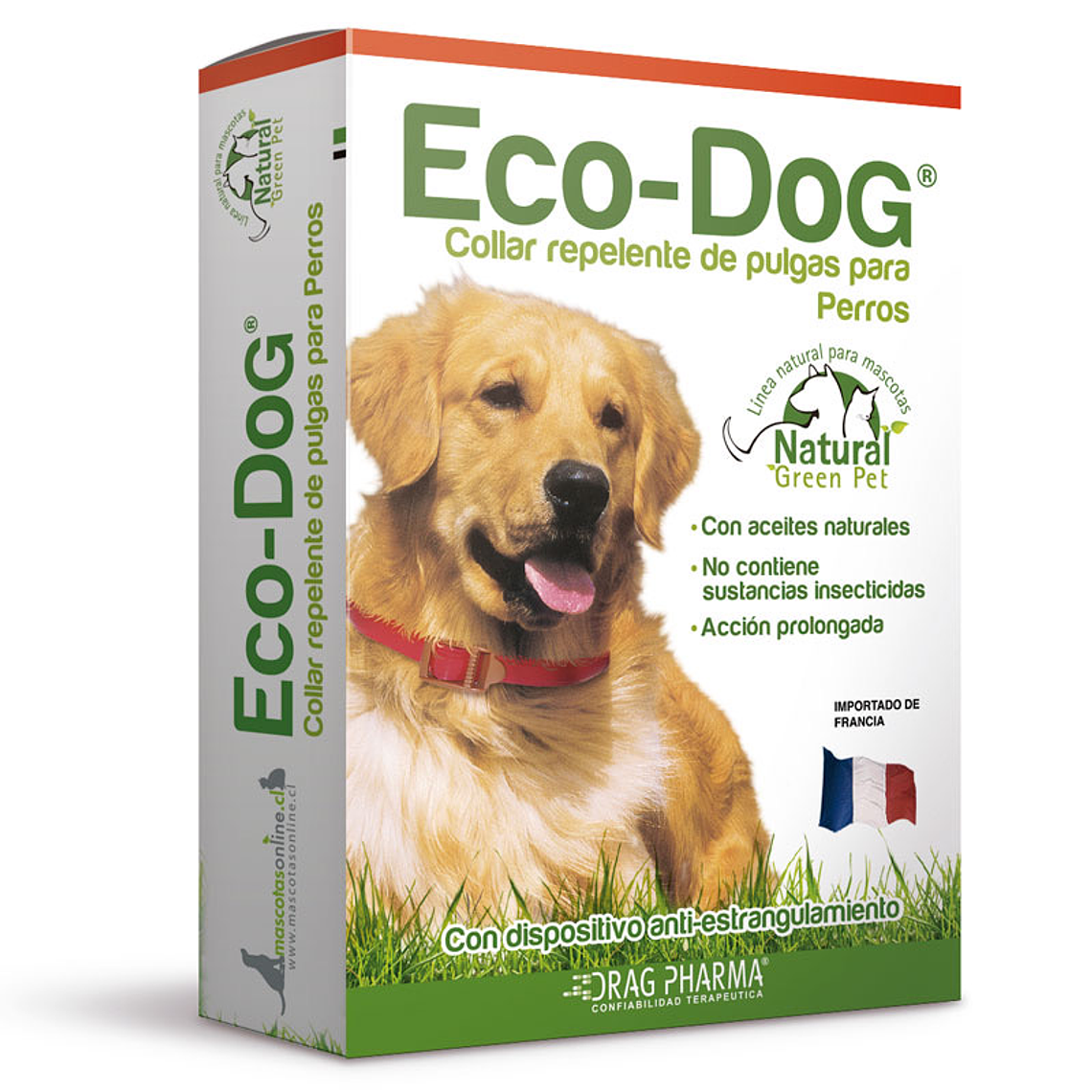 COLLAR ECO-DOG® 1