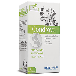 CONDROVET® Comprimido Oral