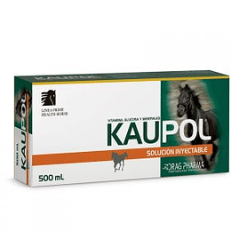 KAUPOL® EQUINO - Solución Inyectable 500 ml