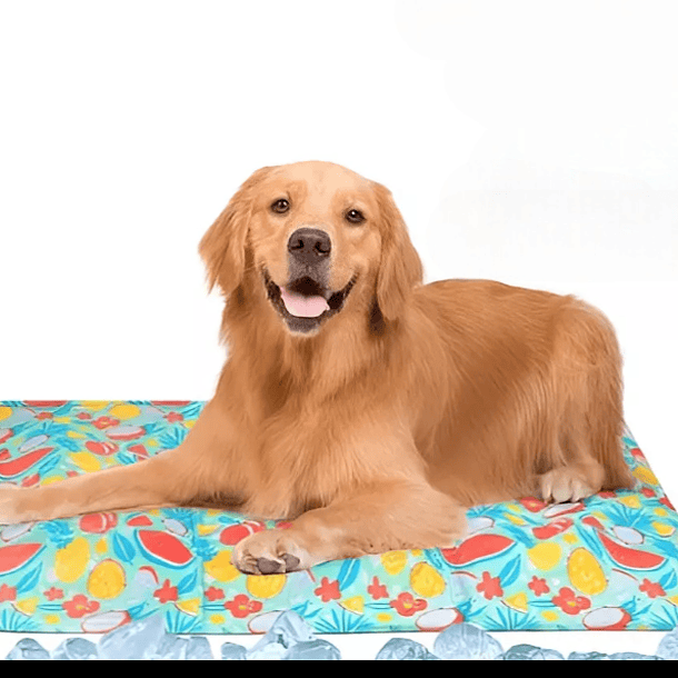 Manta Gel Refrescante Para Perros y Gatos 1