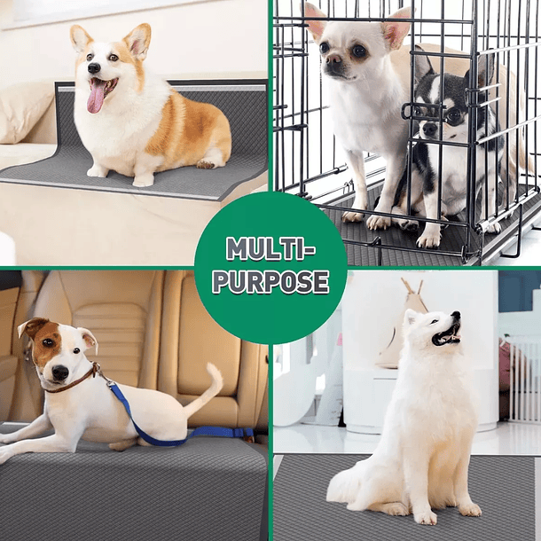 30 Pañales Sabanilla Mascota Baño Perros De Carbón 60x60 Cm 7