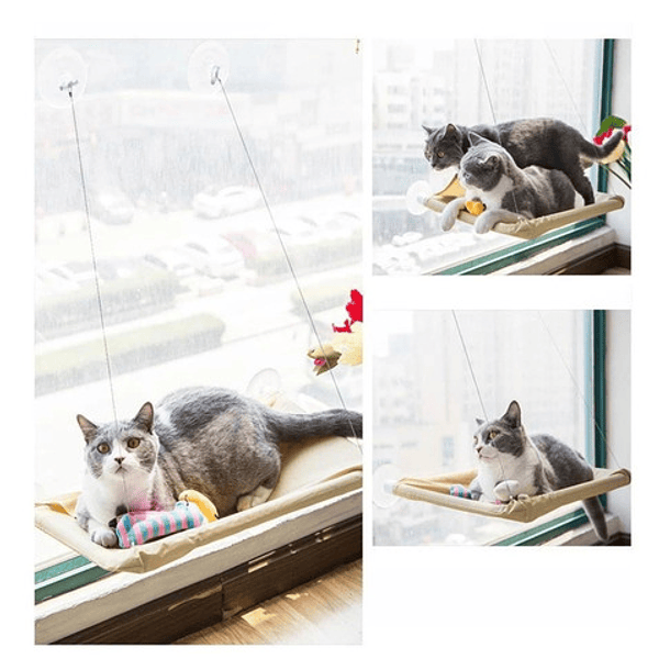 Hamaca Para Gatos Cama De Gato Cama Colgante Ventana Color Beige 4