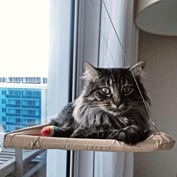Hamaca Para Gatos Cama De Gato Cama Colgante Ventana Color Beige 8