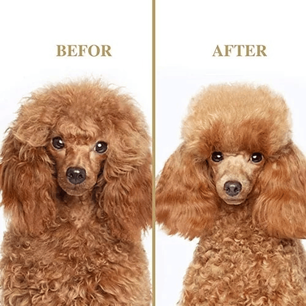 Cepillo Profesional 2en 1 Elimina Nudo Y Pelo Muerto Mascota 11