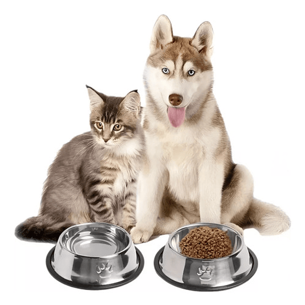 Plato Metalico Para Comida Tus Mascotas Cosas De Gatos Roro 18cm Perro Gatos Plato Alimento Agua 4