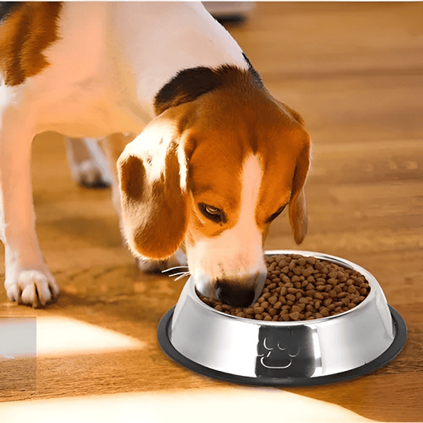 Plato Metalico Para Comida Tus Mascotas Cosas De Gatos Roro 18cm Perro Gatos Plato Alimento Agua 11
