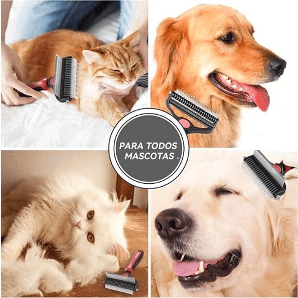Cepillo Para Mascotas Limpiador 2 En 1 Aseador Color Disponibilidad 8