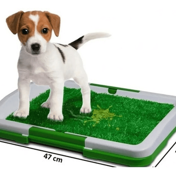 Baño Ecológico Perro Baño Mascotas Baño Ecológico 47x34x6cm 3