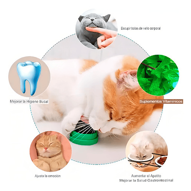 Bola De Hierba Gatera Giratoria Para Gatos Base Verde 2