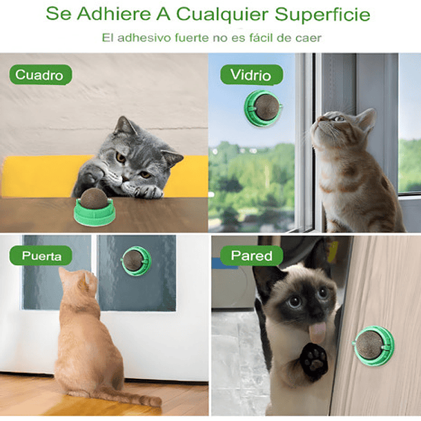 Bola De Hierba Gatera Giratoria Para Gatos Base Verde 7