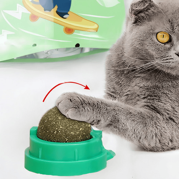 Bola De Hierba Gatera Giratoria Para Gatos Base Verde 8