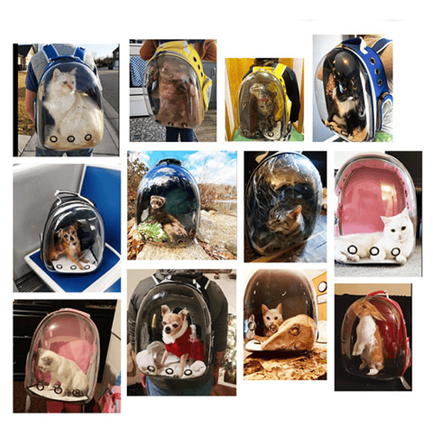 Mochila Transportadora Para Perros Y Gatos Con Vista Panorámica, Color Rosa Ride 4