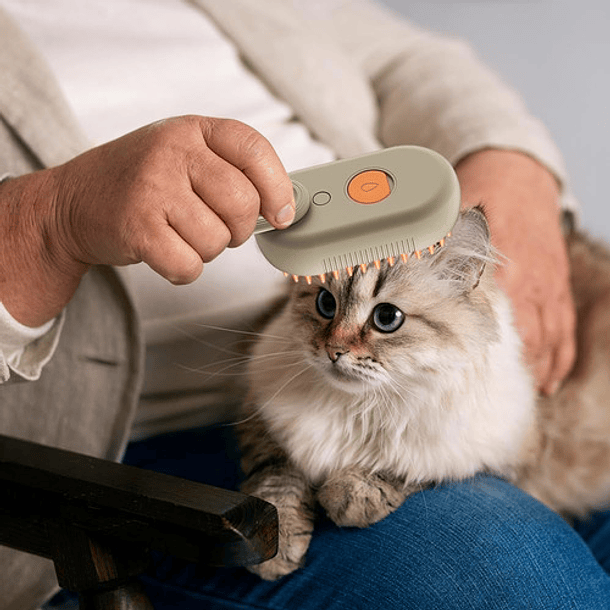 Roro Cepillo A Vapor Largo Raza Pequeña 11