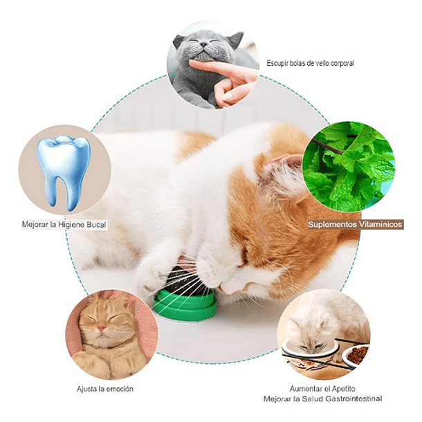 X3 Catnip Hierba Gatera Catnip Gato Bola Adhesiva Juguete Color Azul/bola De Catnip Merienda Para Gatos Hierba Gatera Licking 6