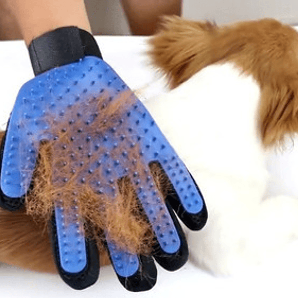 Guante Cepillo Mascota Perro Gato Quita Pelo Removedor Color Azul 4
