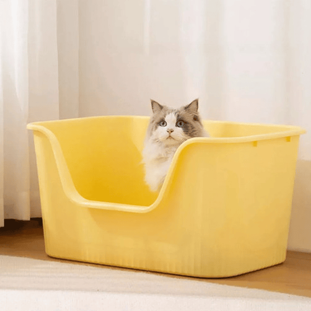 Arenero Abierto Grande Diseño Moderno Ecológico Para Gatos 2