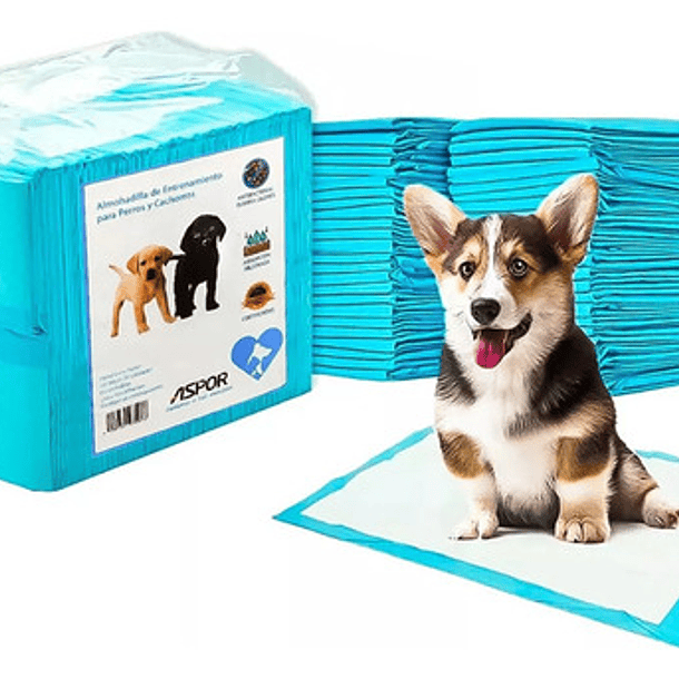 50 Pañales Tipo Sabanillas Mascotas Perros 45x60 Cms Aspor 1
