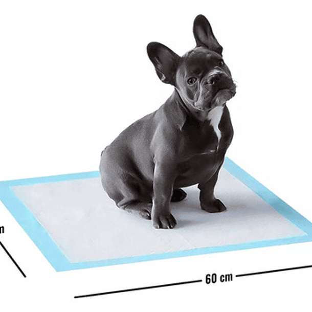 50 Pañales Tipo Sabanillas Mascotas Perros 45x60 Cms Aspor 2